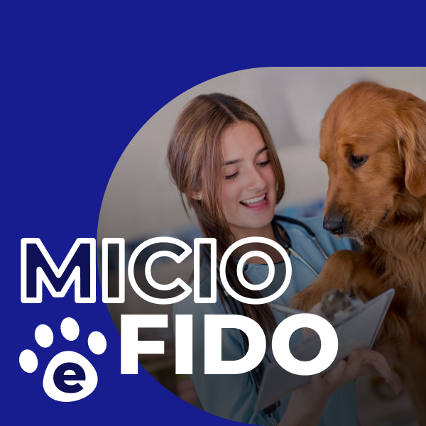 Micio e Fido - WINDTRE Assicurazioni